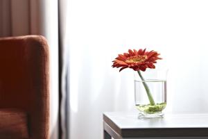 Superior Double Room room in IntercityHotel Berlin Ostbahnhof