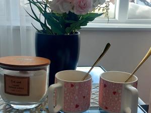 Apartman Mery in Kraljevi Čardaci