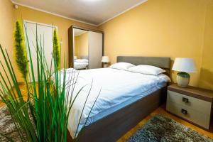 Apartament central Timisoara