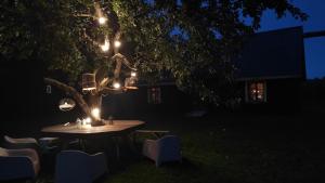 Vēsturiska viensēta Kārkliņi