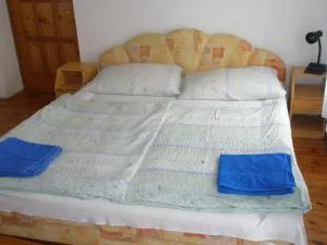 Fenyő Panzió - Sînnicolau Mare