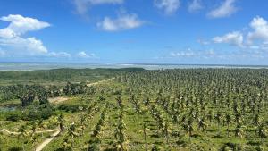 Salinas Premium Resort