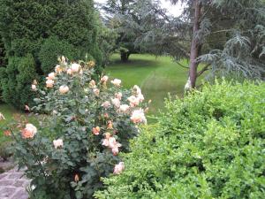 Maisons de vacances Gite Broceliande : photos des chambres