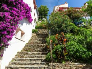 Appartements Appartement Banyuls-sur-Mer, 1 piece, 2 personnes - FR-1-225C-98 : photos des chambres