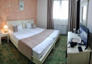 Double Room room in Hotel Bucegi