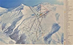 Winter Flat - Orange Ski