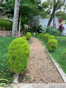 Lali Villa & Fruit Garden