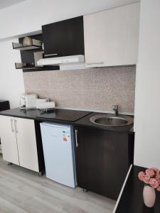 Sophia Central Studio