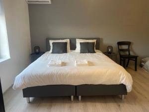 Appelscha aan de diek