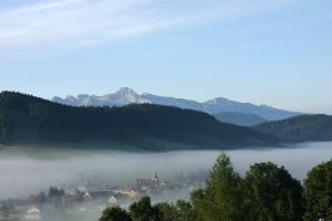 Hotels Logis Le Vernay : photos des chambres