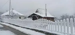 Porodicna brvnara Ivanovic - Utrobe