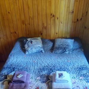 Cabaña acogedora en el centro de Epuyen