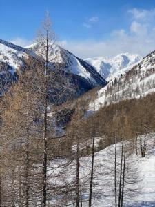 Appartements Magnifique Apt 4 pers * Local a ski * Pieds pistes : photos des chambres