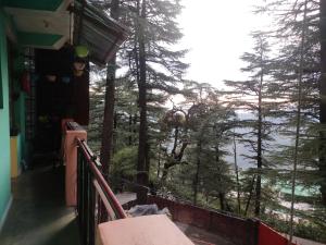 Shree Guest House