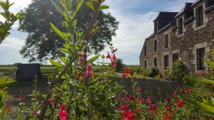 Maisons de vacances La Ville es Ayaux : photos des chambres