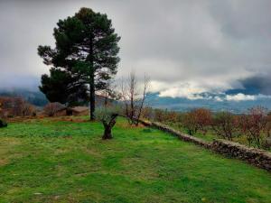 La Cirujana de Gredos