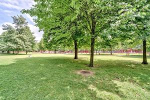 Appartements Lille The apartment in the trees : photos des chambres