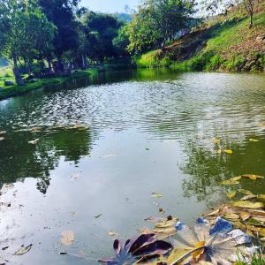 Pousada e Pesque e Pague Vista Alegre