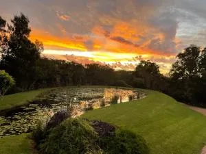 Wilderness Metanoia - Saasveld