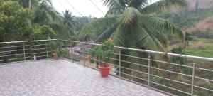 Pibo Homestay