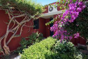 Barbati Breeze apartments