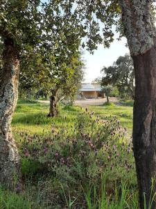 Quinta Terramadome: Dome incomum & responsável