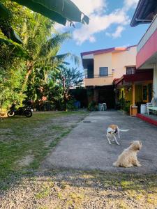 Perlies Inn Studio House