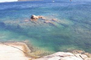 Sunny House a Punta Molara img28