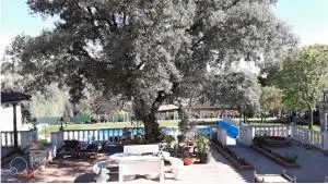 Lovely home, cozy corner in el Bosque, Madrid. - 比利亚维西奥萨-德奥东