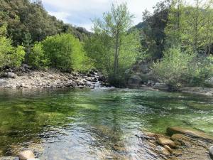 Appartements Vue mer- Bienvenue en Corse 4 pers-piscine : photos des chambres