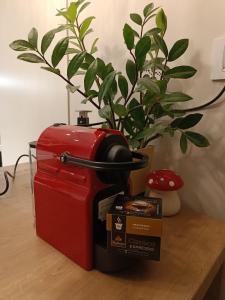 Central Luxury apartment