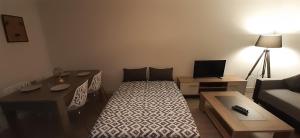 Appartements Sandy's 2 beds apartment Calme Parking Tramway : photos des chambres