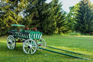 Sodybos Narūnas namelis po egle