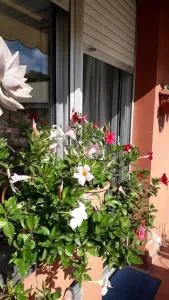 La casa di Teri a Chiavari - San Pier di Canne