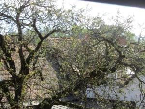 Entire apartment in the center with free parking 