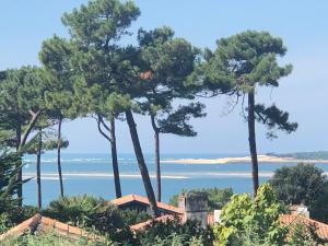 B&B / Chambres d'hotes Chambre d’hotes Pyla sur Mer : photos des chambres