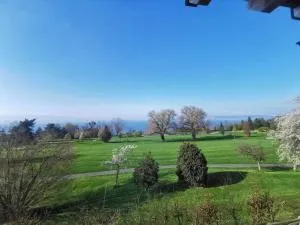 Appartement vue sur le golf et le Lac Leman - Larringes