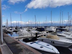 Appartements Appartement vue sur le golf et le Lac Leman : photos des chambres