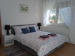 Seoski turizam Stari mlin na Korani room 1 - Gornji Budački