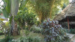 Seattle Garden Resort - KolliHills