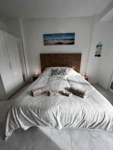 City Center aprtment