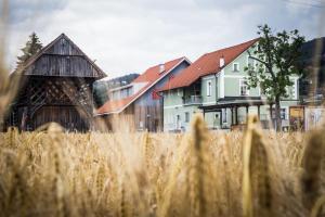 Hostel Mladinski center Šmartno ob Paki