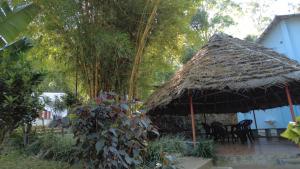Seattle Garden Resort - KolliHills