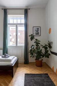 Art Downtown Home styled by a Local Designer