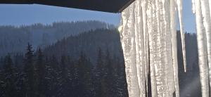 Спа,ски апартамент Дайли, Стрийм Ризорт Пампорово