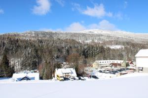 U Králíka, apartmán E, 50m od lanovky a bobové dráhy, parkování zdarma