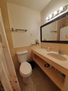 Gorgeous Lakeview Front Lake Osborne