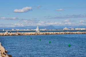 Marie Galante la plage au bout du chemin !