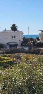 Marie Galante la plage au bout du chemin !