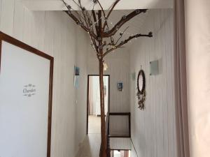 Maisons de vacances Gite Taintrux, 3 pieces, 4 personnes - FR-1-589-457 : photos des chambres